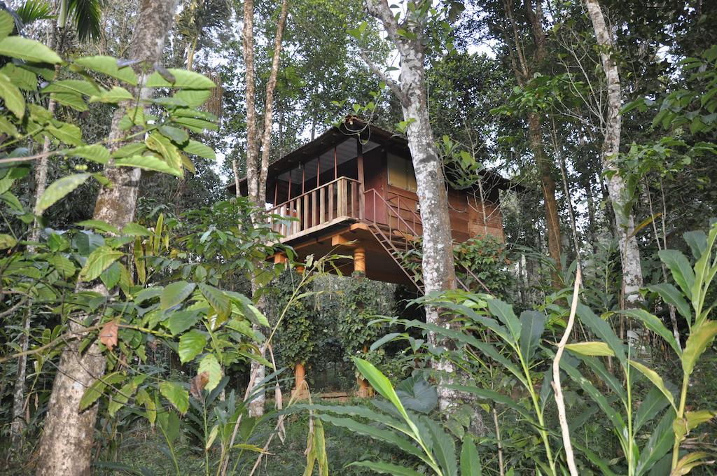 Sunbird Garden Resort Krishnagiri 객실 사진